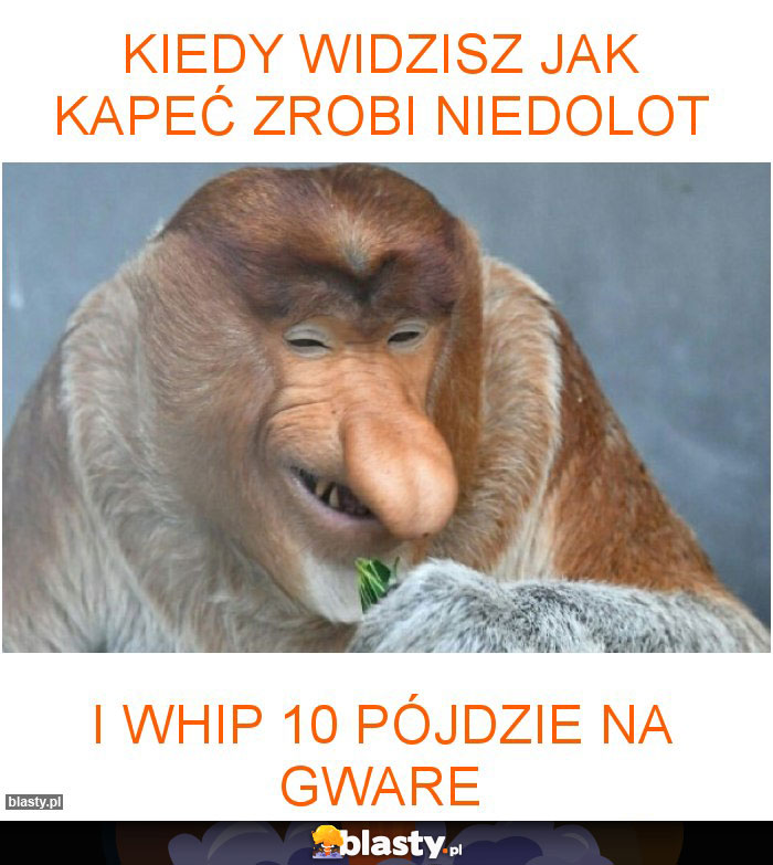 kiedy widzisz jak kapeć zrobi niedolot kiedy widzisz jak kapeć zrobi niedolot