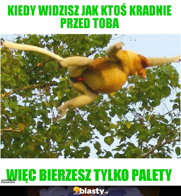 Kiedy widzisz jak ktoś kradnie przed Toba