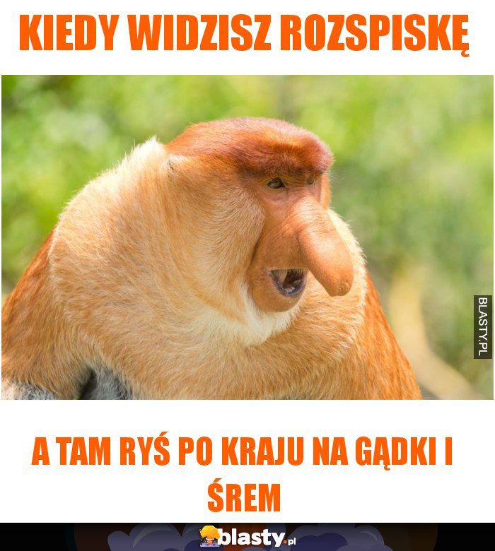kiedy widzisz rozspiskę kiedy widzisz rozspiskę