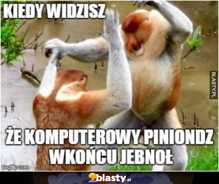 Kiedy widzisz, że komputerowy pieniondz w koncu jebnął