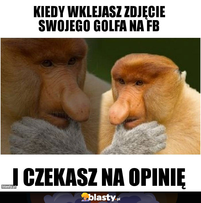 Kiedy wklejasz zdjęcie swojego golfa na fb Kiedy wklejasz zdjęcie swojego golfa na fb