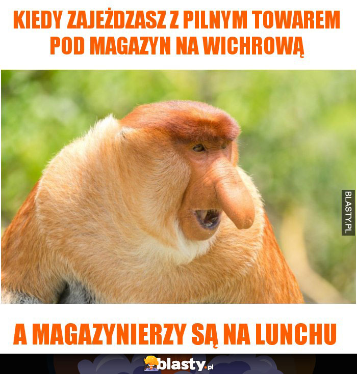 kiedy zajeżdzasz z pilnym towarem pod magazyn na wichrową kiedy zajeżdzasz z pilnym towarem pod magazyn na wichrową
