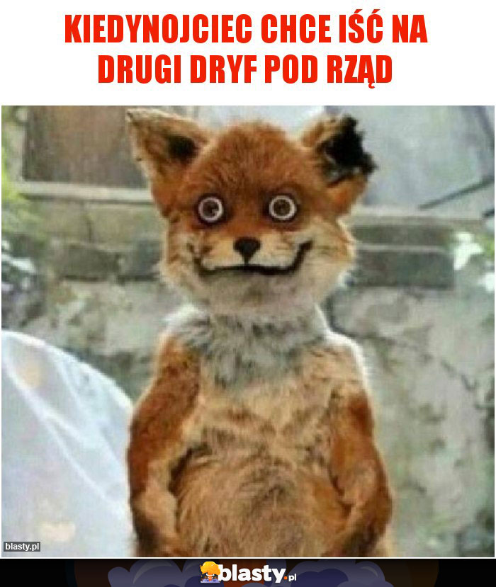 Kiedynojciec chce iść na drugi dryf pod rząd Kiedynojciec chce iść na drugi dryf pod rząd