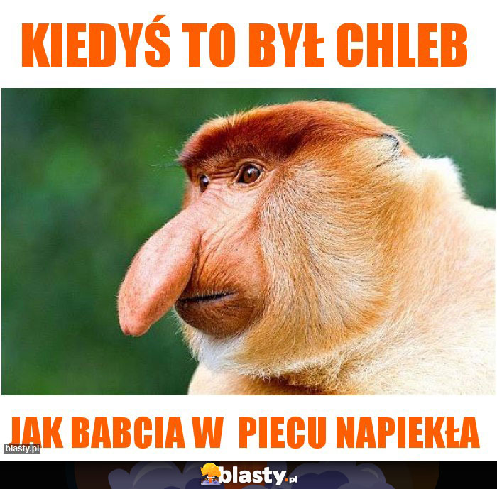 Kiedyś to był chleb Kiedyś to był chleb