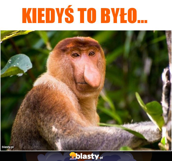 Kiedyś to było... Kiedyś to było...