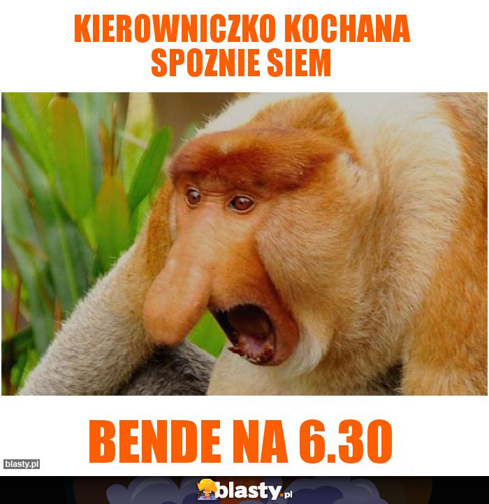 Kierowniczko kochana spoznie siem