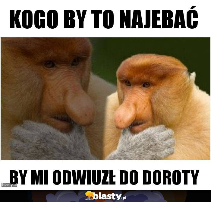 Kogo by to najebać Kogo by to najebać