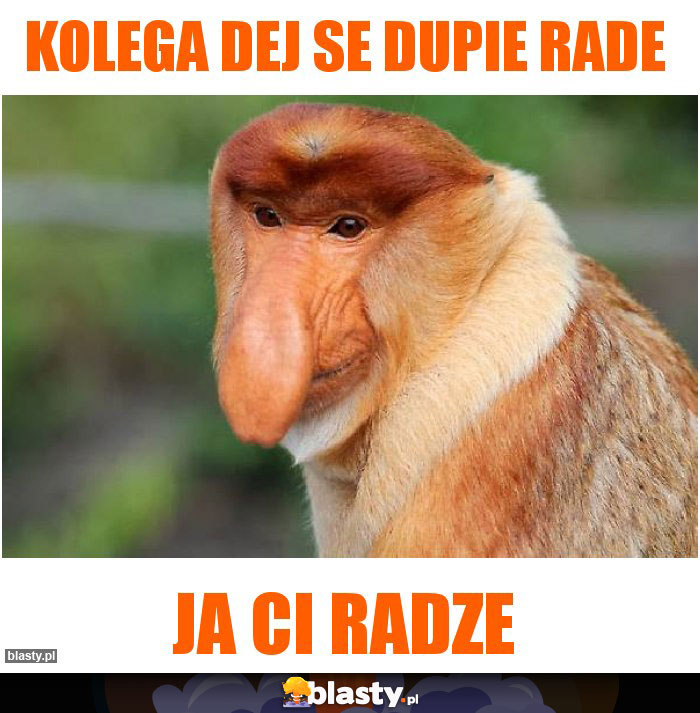 Kolega dej se dupie rade Kolega dej se dupie rade
