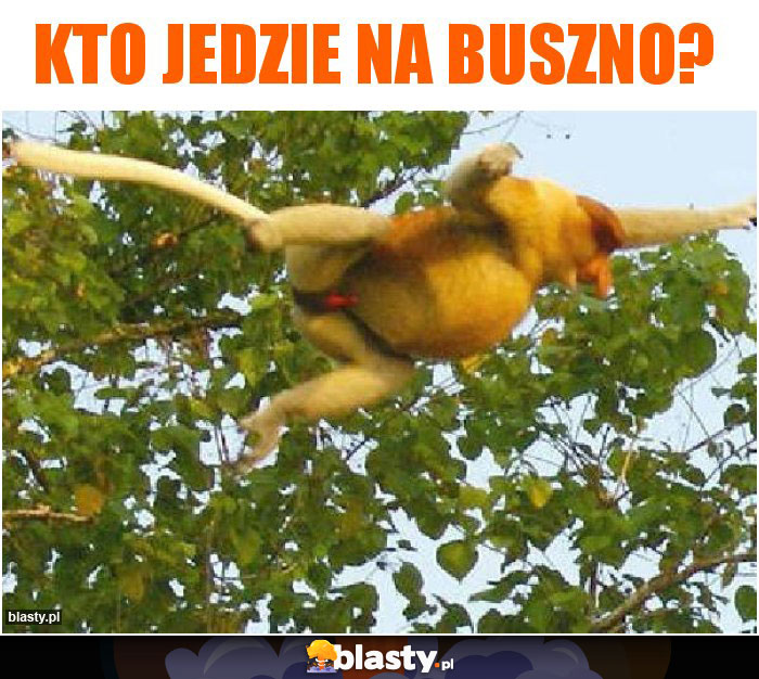 Kto jedzie na buszno? Kto jedzie na buszno?
