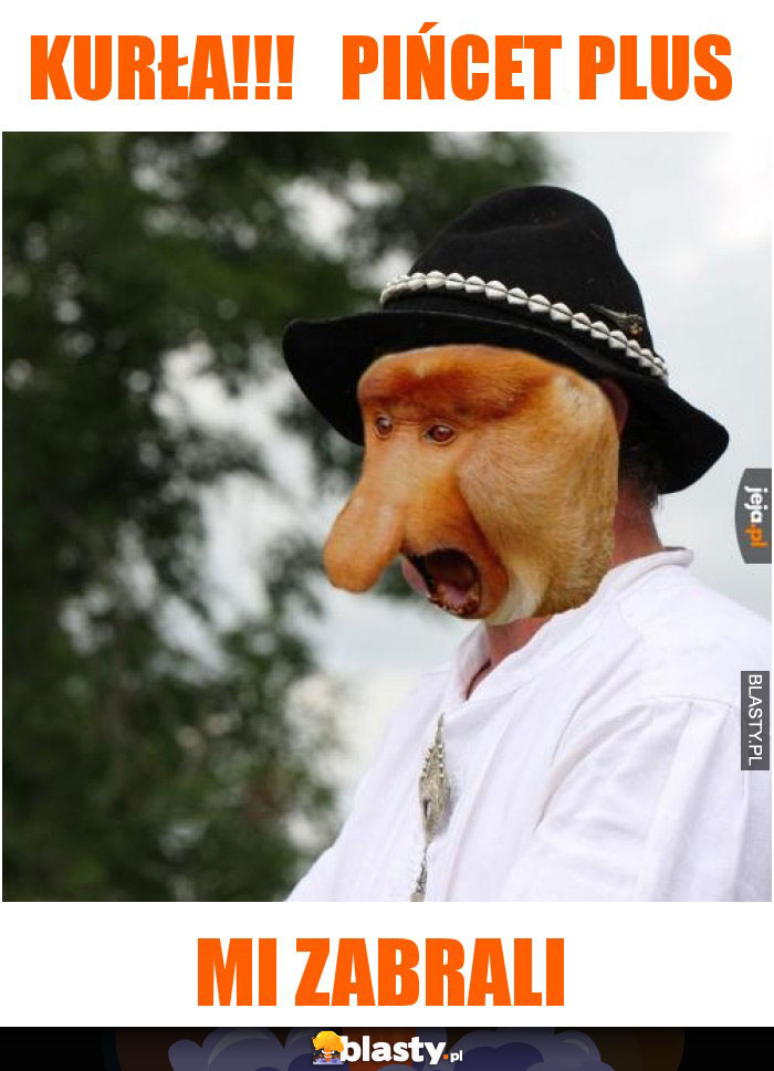Kurła!!! pińcet plus Kurła!!! pińcet plus