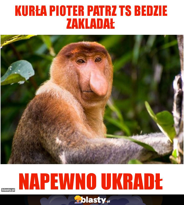 Kurła Pioter patrz ts bedzie zakladał Kurła Pioter patrz ts bedzie zakladał