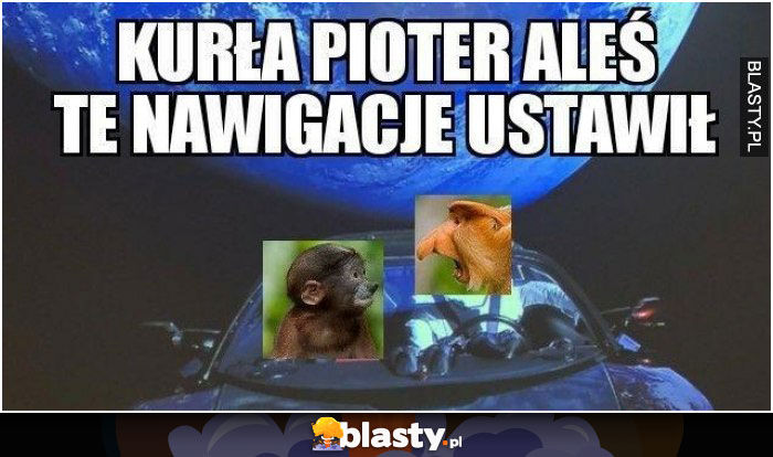 Kurła pioter