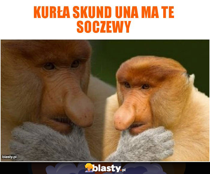 Kurła skund una ma te soczewy Kurła skund una ma te soczewy
