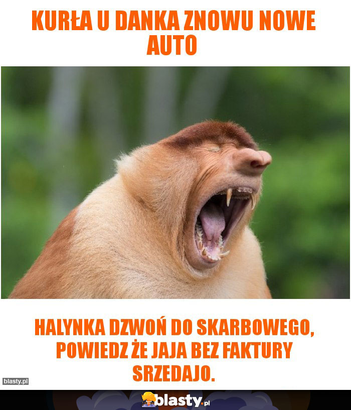 KURŁA U DANKA ZNOWU NOWE AUTO KURŁA U DANKA ZNOWU NOWE AUTO