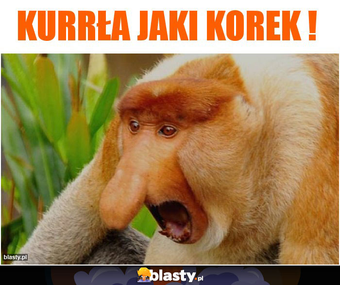 Kurrła jaki korek ! Kurrła jaki korek !