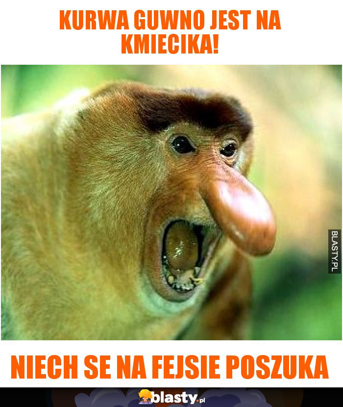 kurwa guwno jest na kmiecika! kurwa guwno jest na kmiecika!