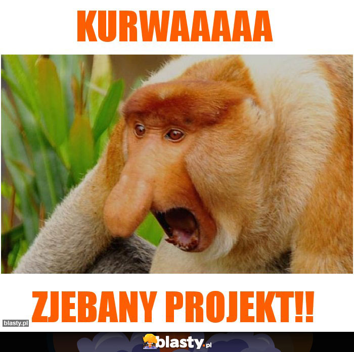 Kurwaaaaa