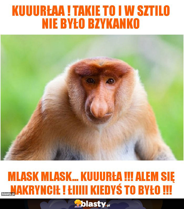 Kuuurłaa ! Takie to i w sztilo nie było bzykanko Kuuurłaa ! Takie to i w sztilo nie było bzykanko
