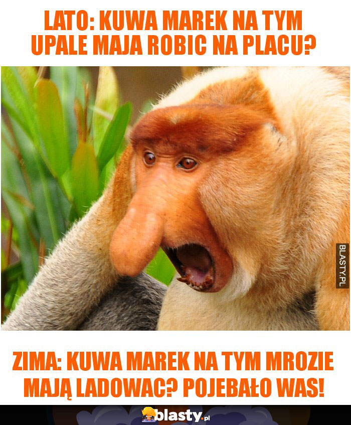 LATO: kuwa marek na tym upale maja robic na placu? LATO: kuwa marek na tym upale maja robic na placu?