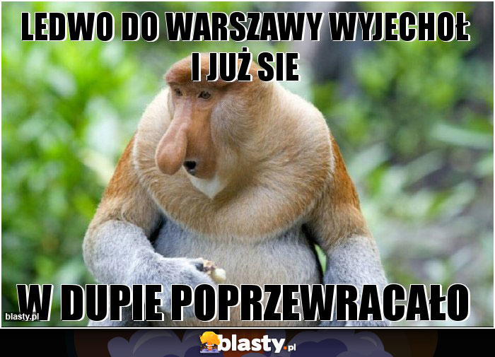 ledwo do warszawy wyjechoł i już sie ledwo do warszawy wyjechoł i już sie