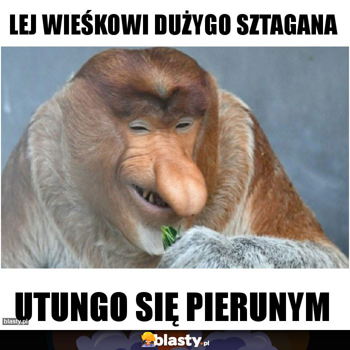 LEJ WIEŚKOWI DUŻYGO SZTAGANA LEJ WIEŚKOWI DUŻYGO SZTAGANA