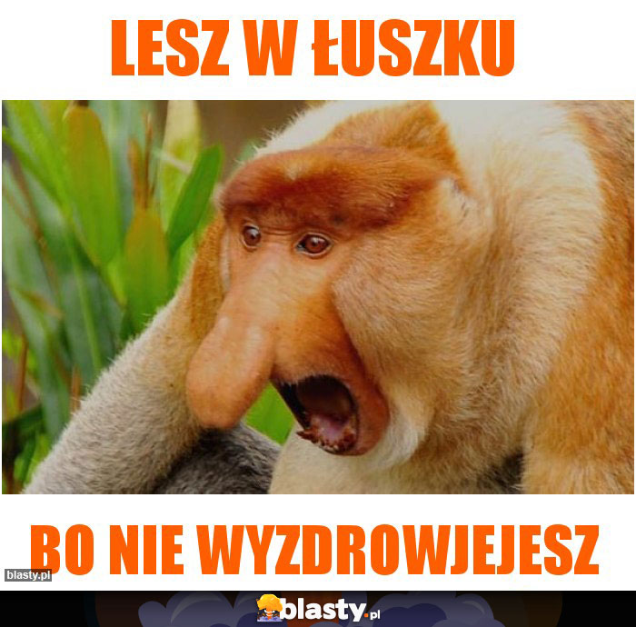 lesz w łuszku lesz w łuszku