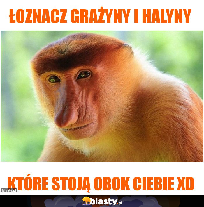 Łoznacz grażyny i halyny Łoznacz grażyny i halyny