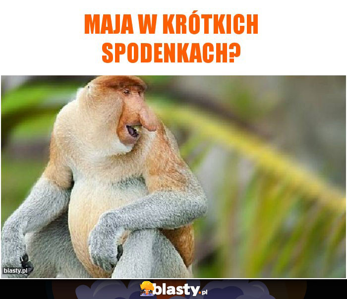 maja w krótkich spodenkach? maja w krótkich spodenkach?