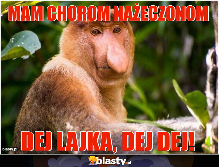 Mam chorom nażeczonom Mam chorom nażeczonom