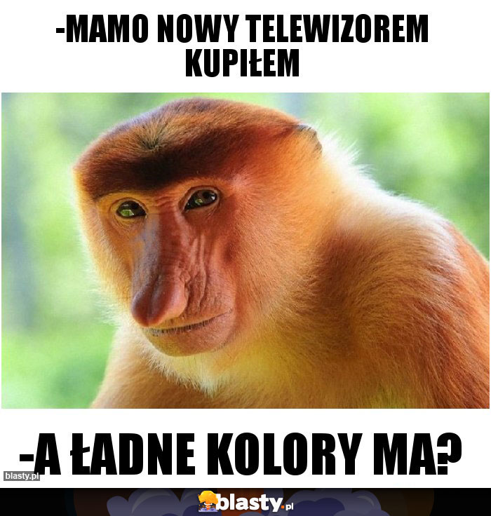 -Mamo nowy telewizorem kupiłem -Mamo nowy telewizorem kupiłem