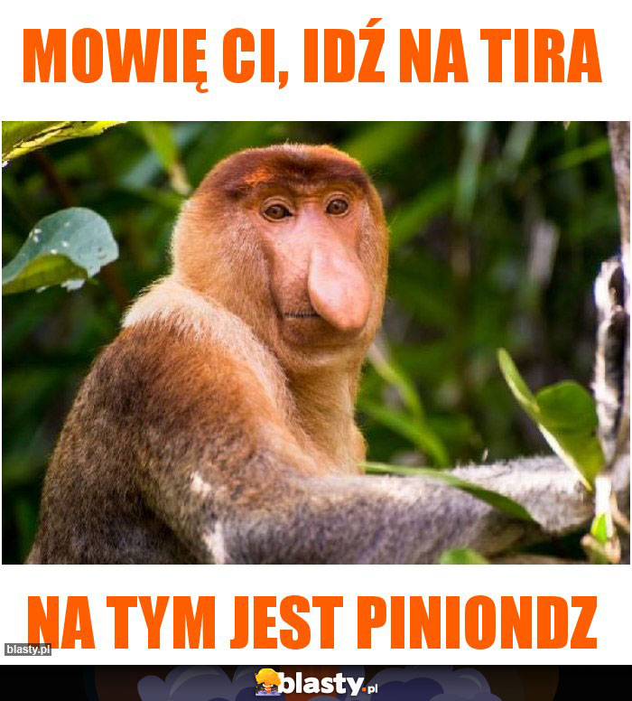 Mowię Ci, idź na tira Mowię Ci, idź na tira