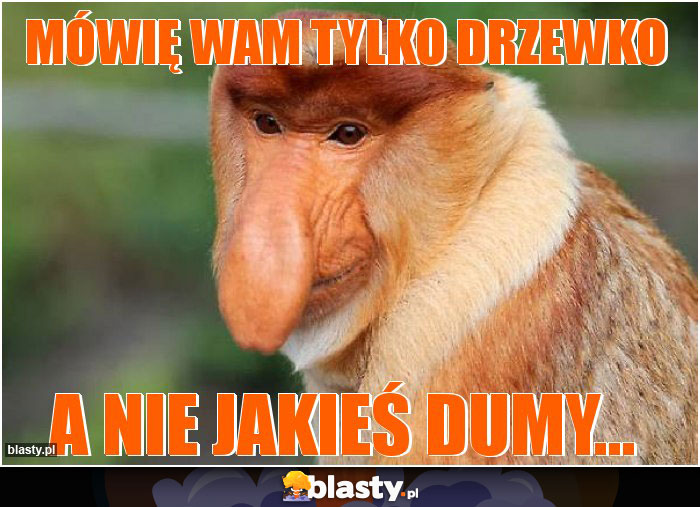 Mówię wam tylko drzewko Mówię wam tylko drzewko