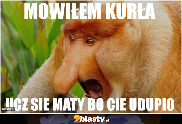 Mowiłem kurła Mowiłem kurła