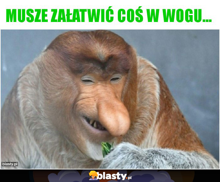 musze załatwić coś w wogu... musze załatwić coś w wogu...
