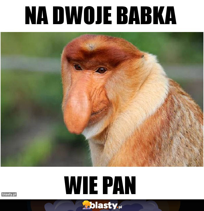 Na dwoje babka Na dwoje babka