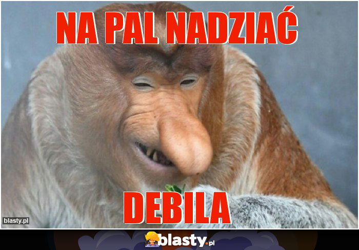 na pal nadziać na pal nadziać