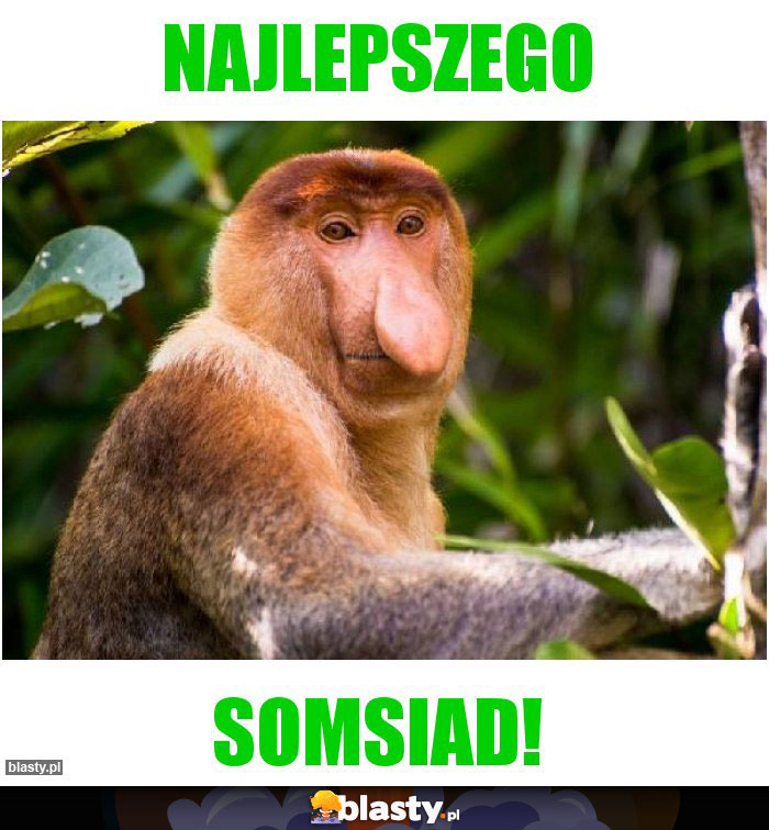 NAJLEPSZEGO NAJLEPSZEGO