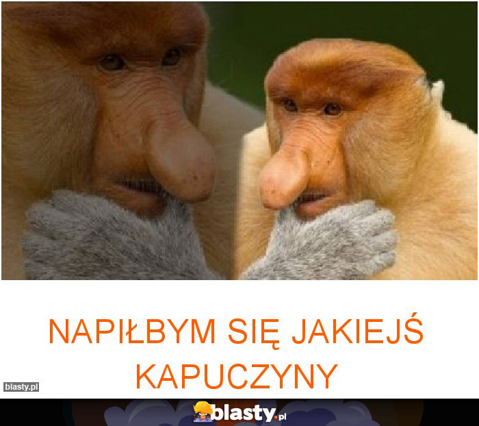 Napiłbym się jakiejś kapuczyny Napiłbym się jakiejś kapuczyny