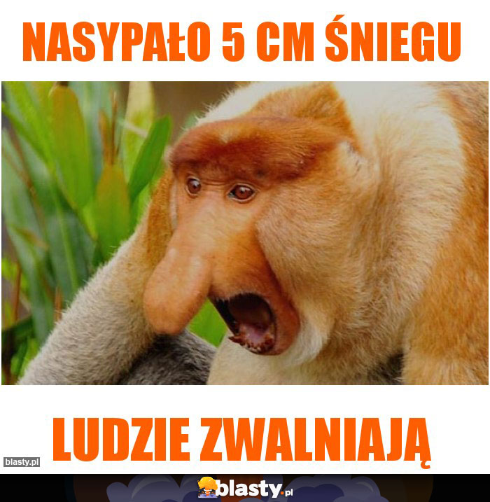 Nasypało 5 cm śniegu Nasypało 5 cm śniegu