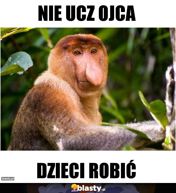 Nie ucz ojca Nie ucz ojca