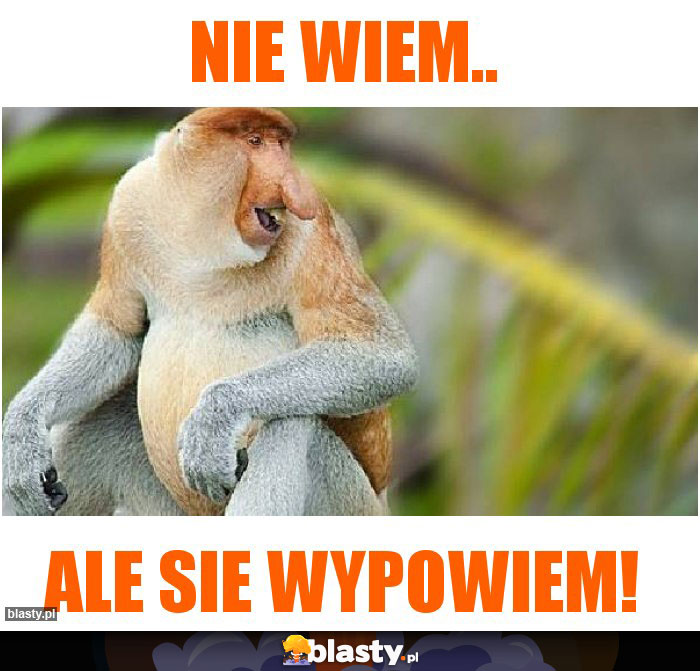 Nie wiem.. Nie wiem..