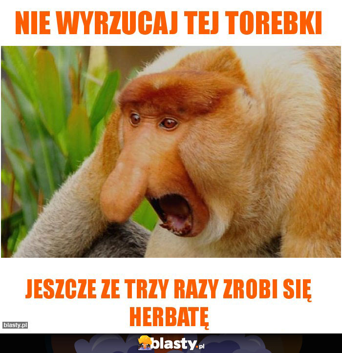 Nie wyrzucaj tej torebki Nie wyrzucaj tej torebki