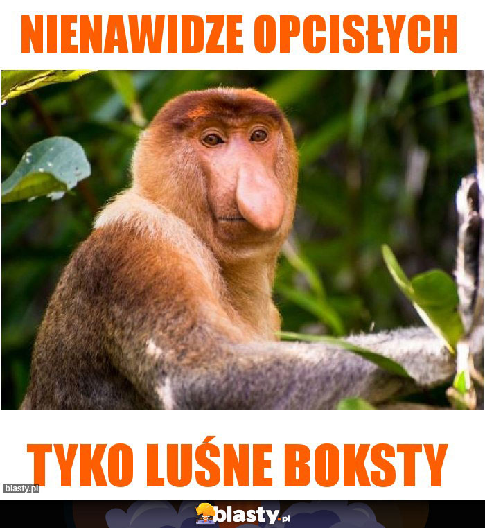 Nienawidze opcisłych Nienawidze opcisłych