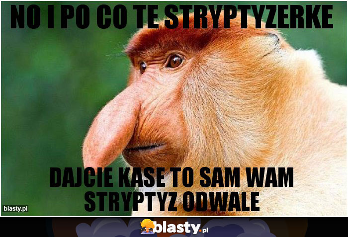 No i po co te stryptyzerke No i po co te stryptyzerke