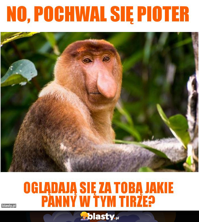 NO, POCHWAL SIĘ PIOTER NO, POCHWAL SIĘ PIOTER