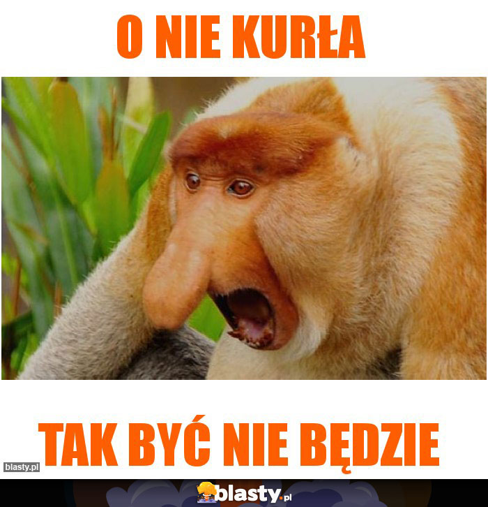 O nie kurła O nie kurła
