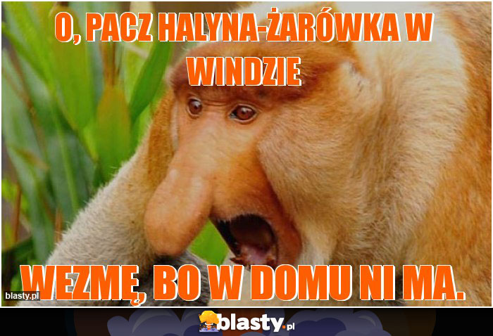 O, pacz halyna-żarówka w windzie O, pacz halyna-żarówka w windzie