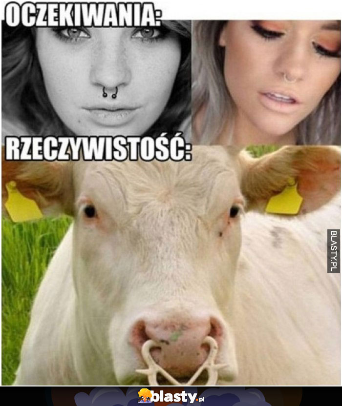 Oczekiwania vs rzeczywistość