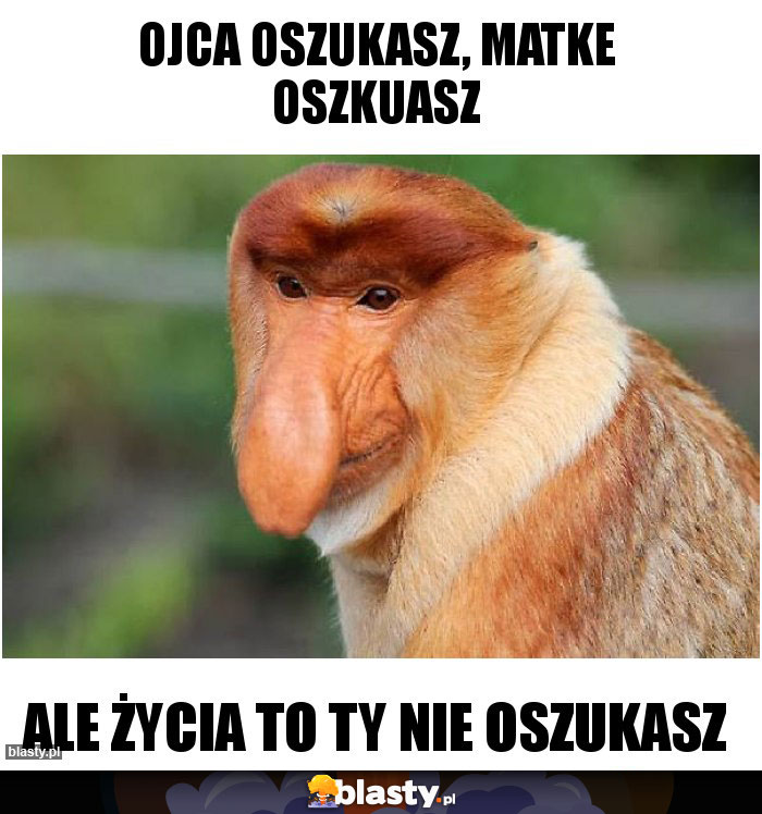 ojca oszukasz, matke oszkuasz ojca oszukasz, matke oszkuasz