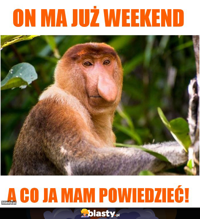 On ma już weekend On ma już weekend